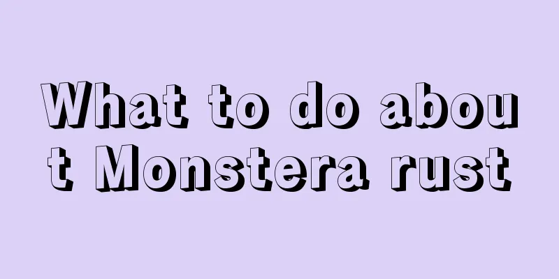 What to do about Monstera rust