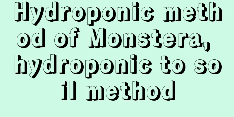 Hydroponic method of Monstera, hydroponic to soil method