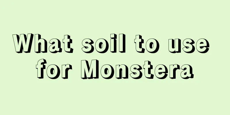 What soil to use for Monstera