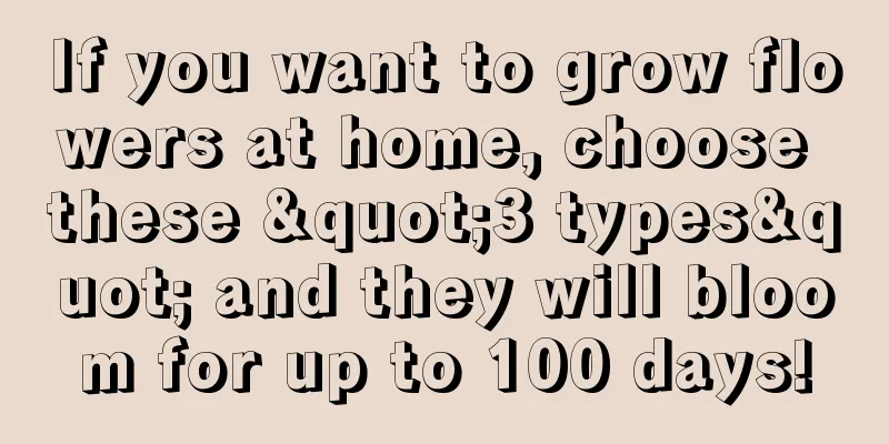 If you want to grow flowers at home, choose these "3 types" and they will bloom for up to 100 days!