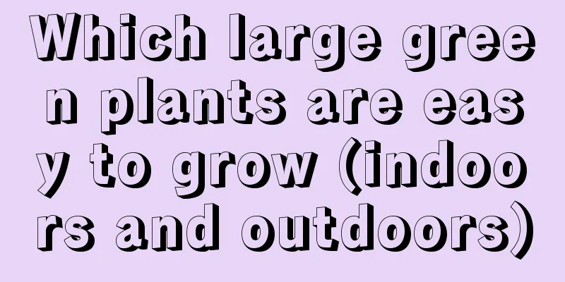 Which large green plants are easy to grow (indoors and outdoors)