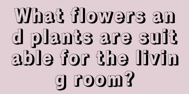 What flowers and plants are suitable for the living room?