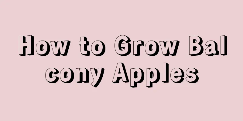 How to Grow Balcony Apples