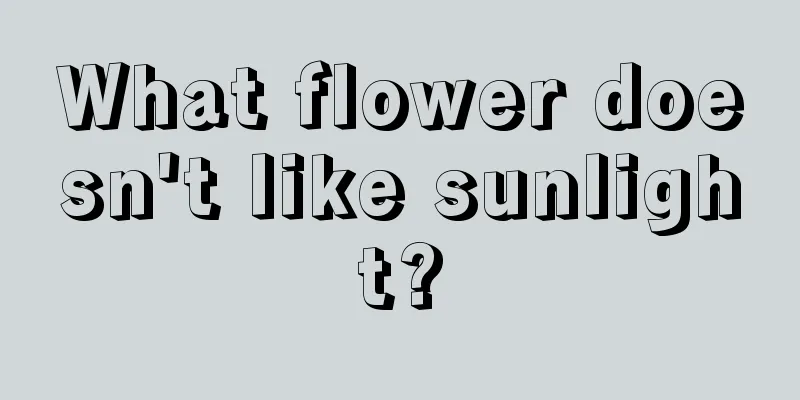 What flower doesn't like sunlight?