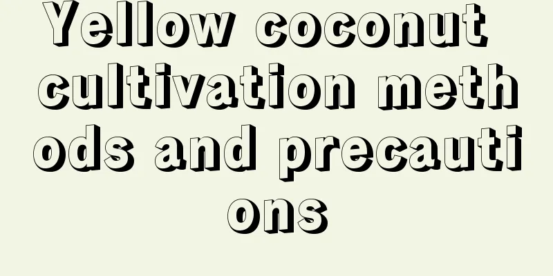 Yellow coconut cultivation methods and precautions