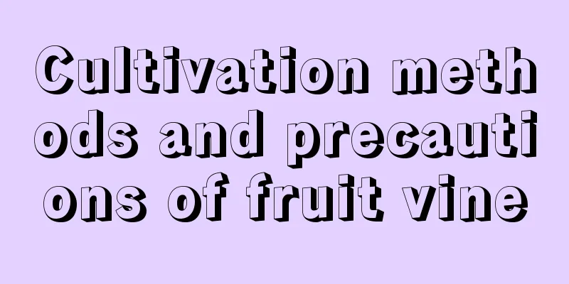 Cultivation methods and precautions of fruit vine