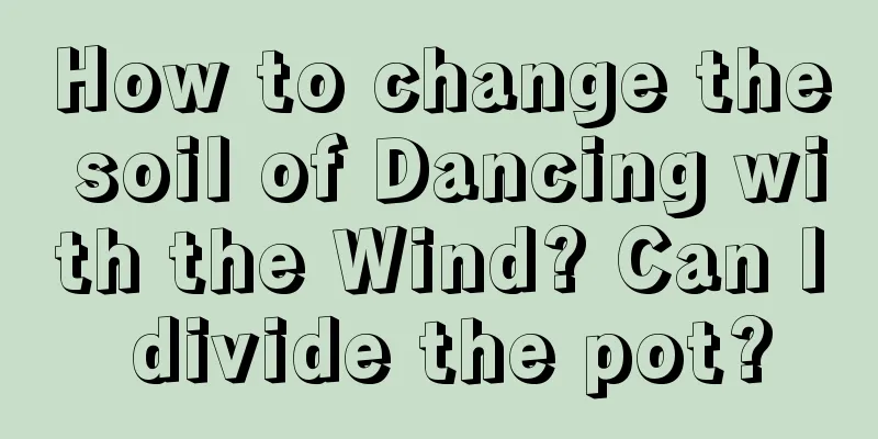 How to change the soil of Dancing with the Wind? Can I divide the pot?