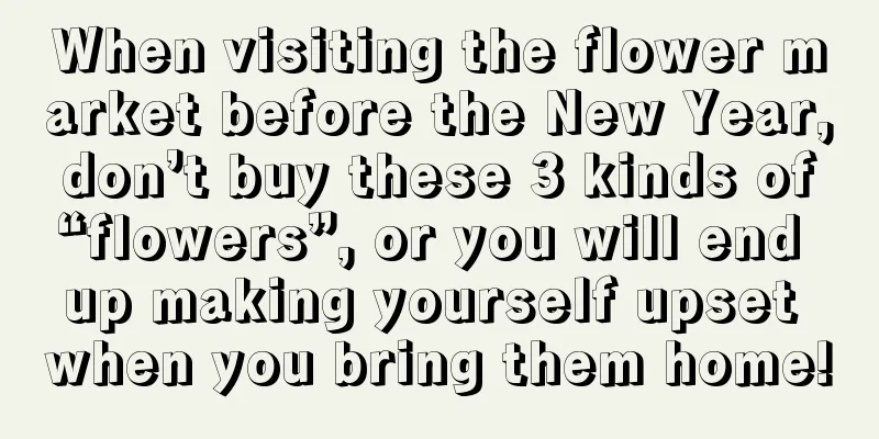 When visiting the flower market before the New Year, don’t buy these 3 kinds of “flowers”, or you will end up making yourself upset when you bring them home!