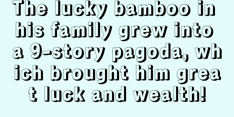 The lucky bamboo in his family grew into a 9-story pagoda, which brought him great luck and wealth!