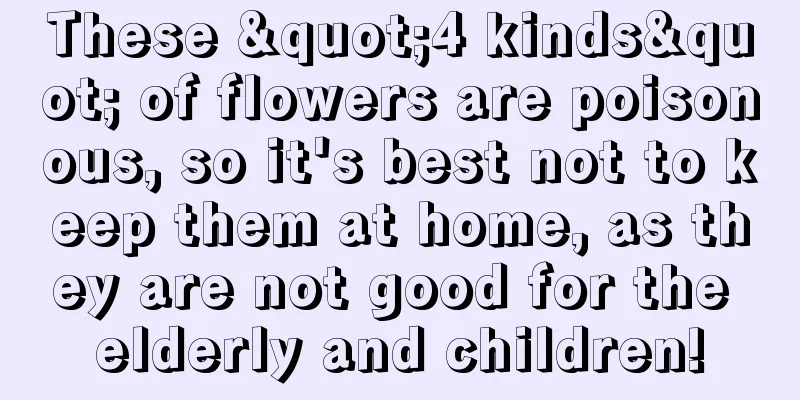 These "4 kinds" of flowers are poisonous, so it's best not to keep them at home, as they are not good for the elderly and children!