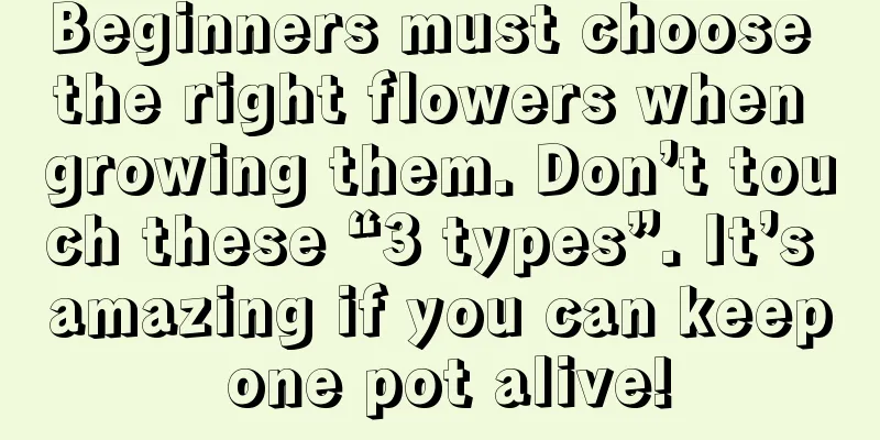 Beginners must choose the right flowers when growing them. Don’t touch these “3 types”. It’s amazing if you can keep one pot alive!