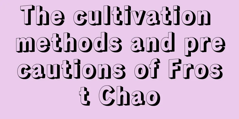 The cultivation methods and precautions of Frost Chao