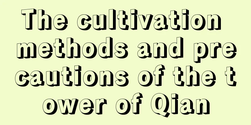 The cultivation methods and precautions of the tower of Qian