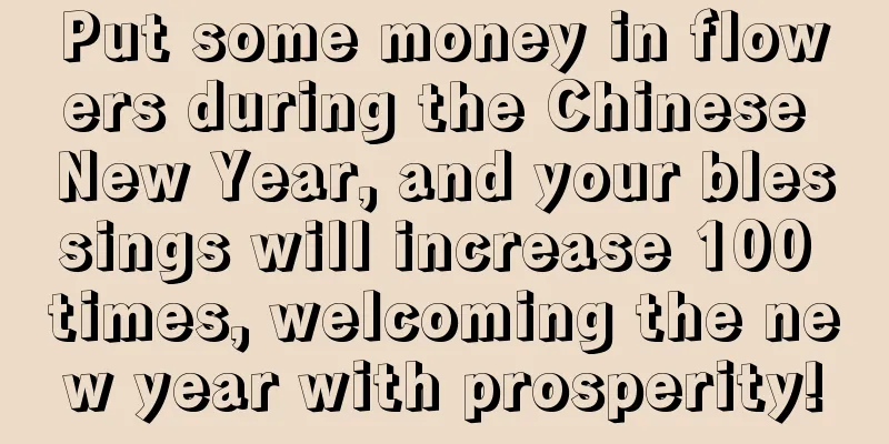 Put some money in flowers during the Chinese New Year, and your blessings will increase 100 times, welcoming the new year with prosperity!