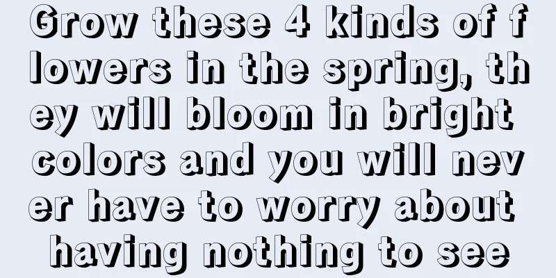 Grow these 4 kinds of flowers in the spring, they will bloom in bright colors and you will never have to worry about having nothing to see