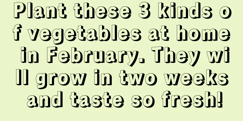 Plant these 3 kinds of vegetables at home in February. They will grow in two weeks and taste so fresh!