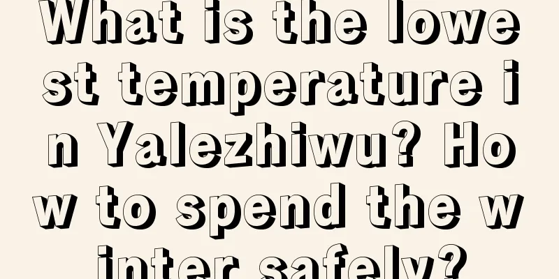 What is the lowest temperature in Yalezhiwu? How to spend the winter safely?