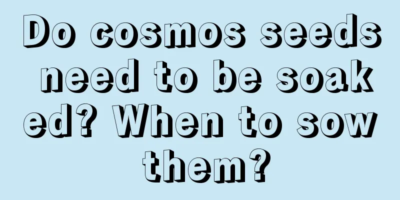 Do cosmos seeds need to be soaked? When to sow them?