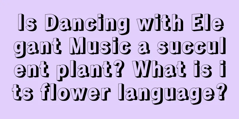 Is Dancing with Elegant Music a succulent plant? What is its flower language?