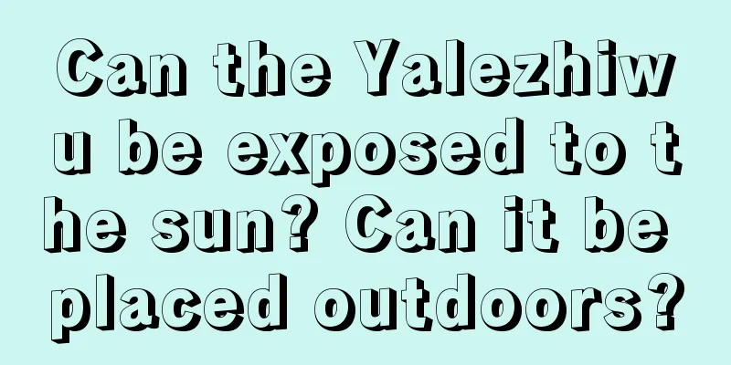 Can the Yalezhiwu be exposed to the sun? Can it be placed outdoors?