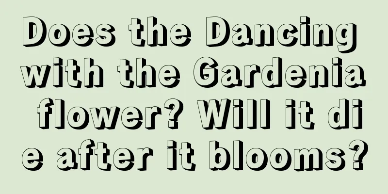 Does the Dancing with the Gardenia flower? Will it die after it blooms?