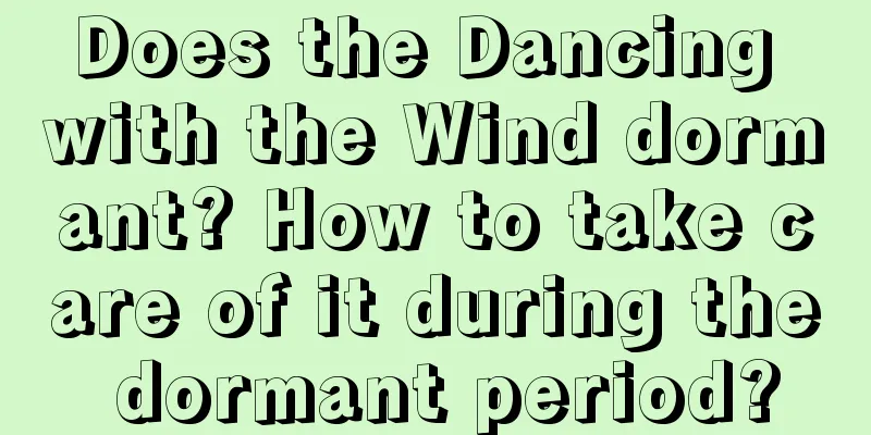 Does the Dancing with the Wind dormant? How to take care of it during the dormant period?