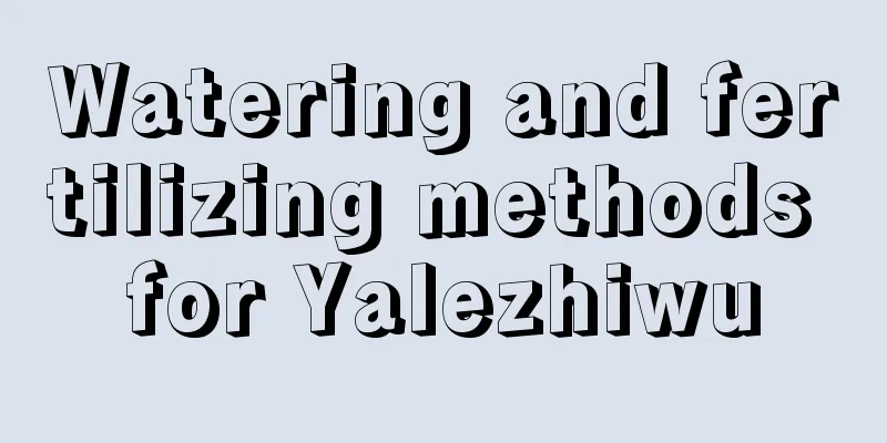 Watering and fertilizing methods for Yalezhiwu