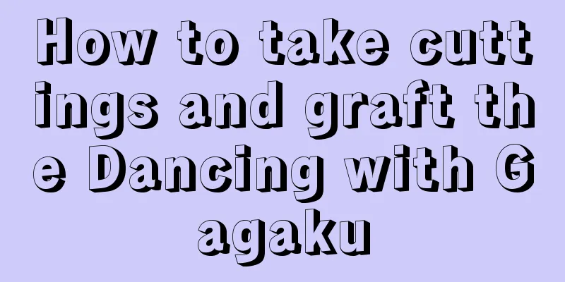 How to take cuttings and graft the Dancing with Gagaku