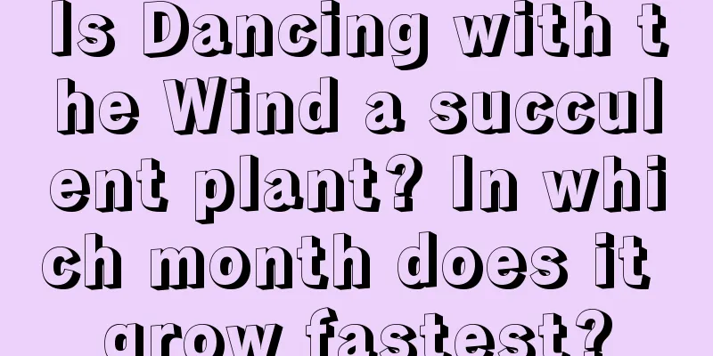 Is Dancing with the Wind a succulent plant? In which month does it grow fastest?