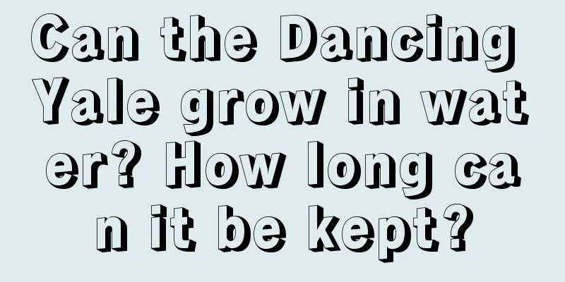 Can the Dancing Yale grow in water? How long can it be kept?