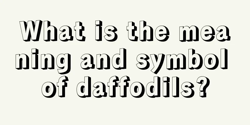 What is the meaning and symbol of daffodils?