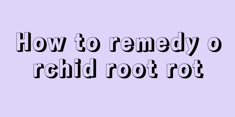 How to remedy orchid root rot