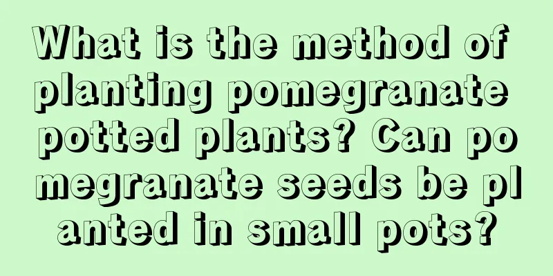 What is the method of planting pomegranate potted plants? Can pomegranate seeds be planted in small pots?