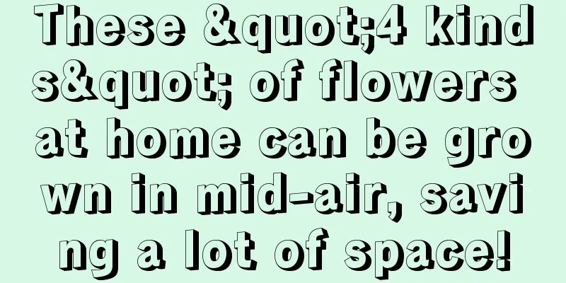 These "4 kinds" of flowers at home can be grown in mid-air, saving a lot of space!