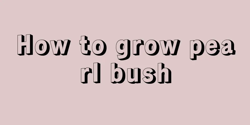 How to grow pearl bush