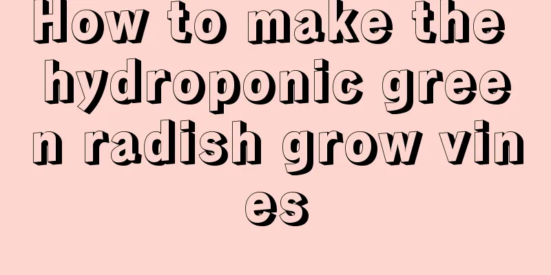 How to make the hydroponic green radish grow vines