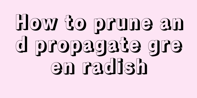 How to prune and propagate green radish