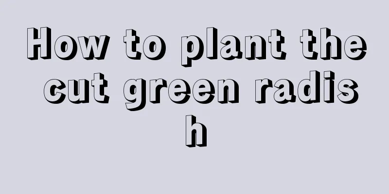 How to plant the cut green radish