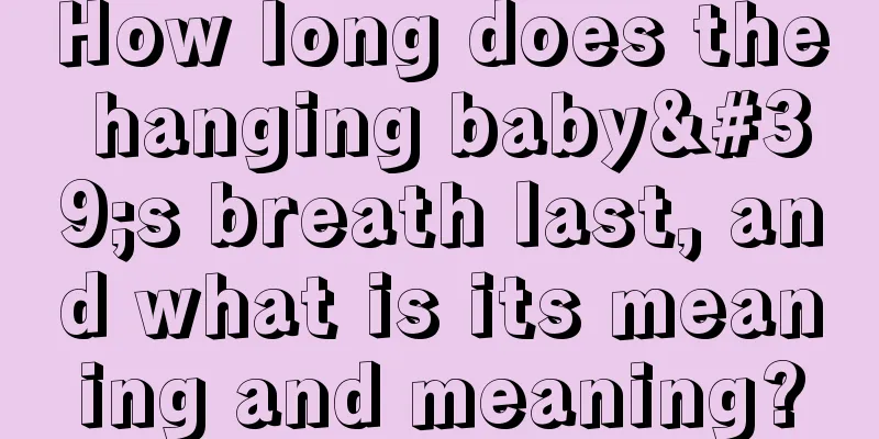 How long does the hanging baby's breath last, and what is its meaning and meaning?