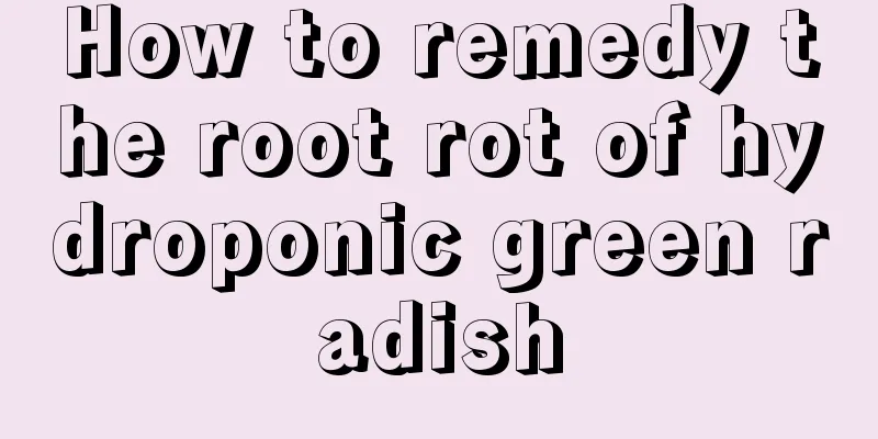 How to remedy the root rot of hydroponic green radish