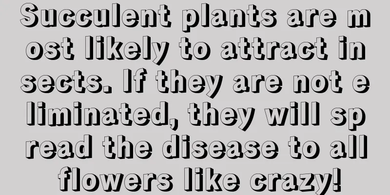 Succulent plants are most likely to attract insects. If they are not eliminated, they will spread the disease to all flowers like crazy!