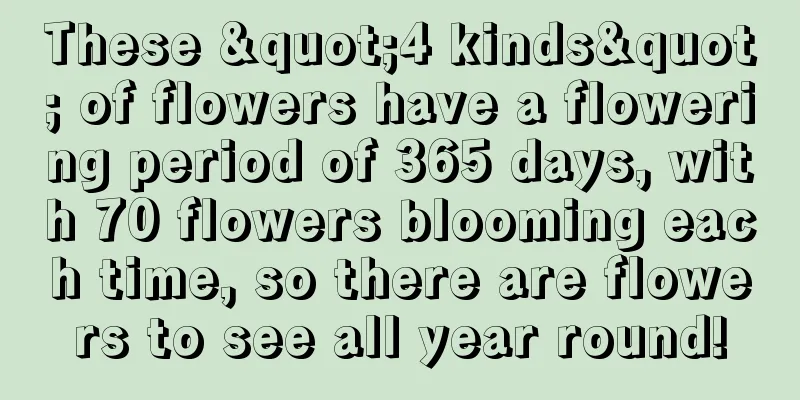 These "4 kinds" of flowers have a flowering period of 365 days, with 70 flowers blooming each time, so there are flowers to see all year round!