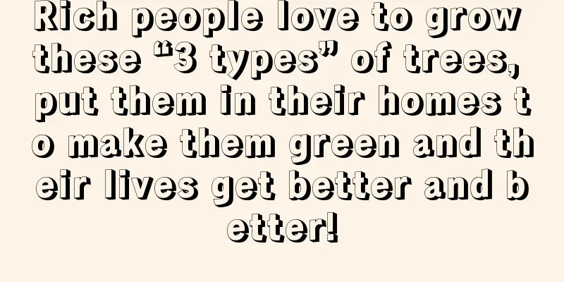 Rich people love to grow these “3 types” of trees, put them in their homes to make them green and their lives get better and better!