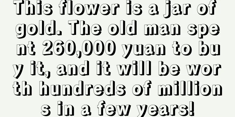 This flower is a jar of gold. The old man spent 260,000 yuan to buy it, and it will be worth hundreds of millions in a few years!