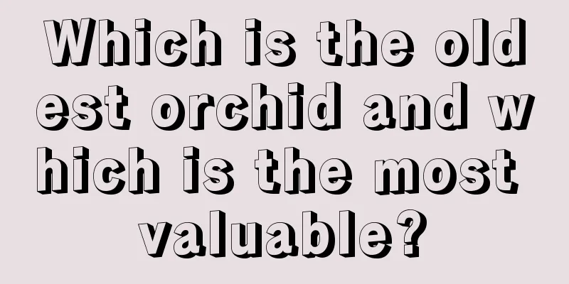 Which is the oldest orchid and which is the most valuable?