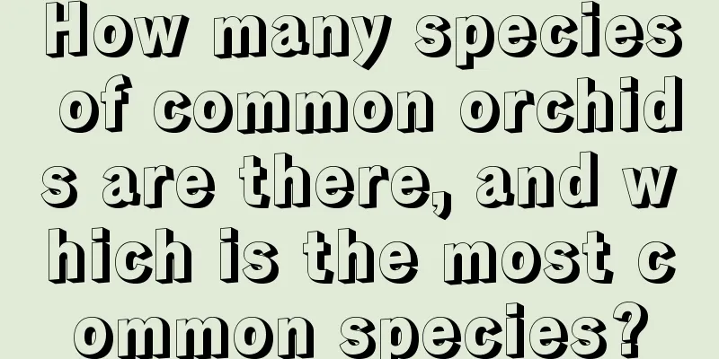 How many species of common orchids are there, and which is the most common species?