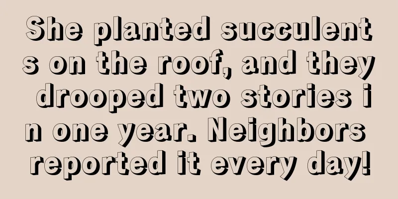 She planted succulents on the roof, and they drooped two stories in one year. Neighbors reported it every day!