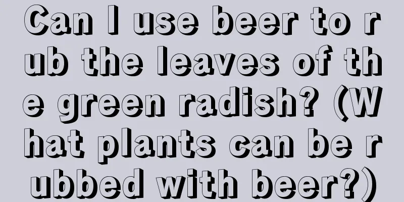 Can I use beer to rub the leaves of the green radish? (What plants can be rubbed with beer?)