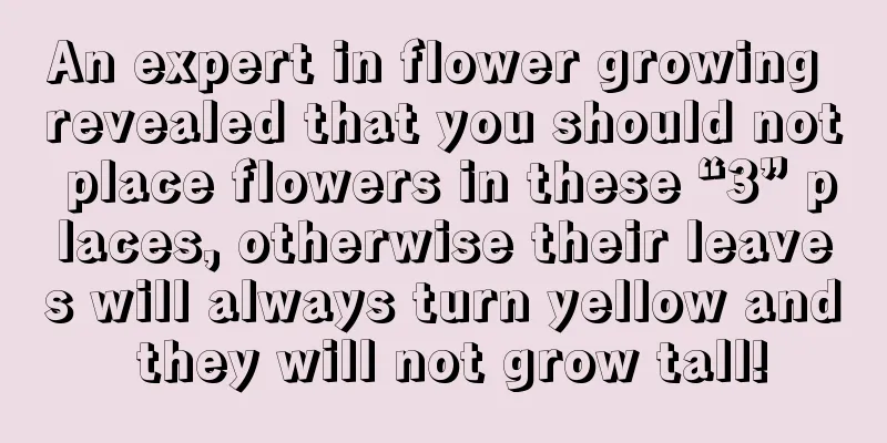 An expert in flower growing revealed that you should not place flowers in these “3” places, otherwise their leaves will always turn yellow and they will not grow tall!