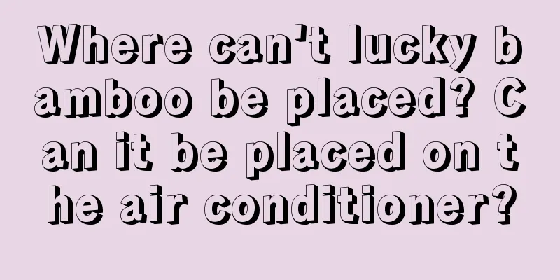 Where can't lucky bamboo be placed? Can it be placed on the air conditioner?